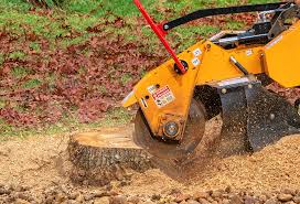 Best Lawn Maintenance Plans  in South Lake Tahoe, CA